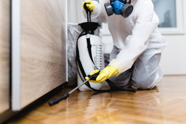 Best Bed Bug Extermination  in Schaumburg, IL