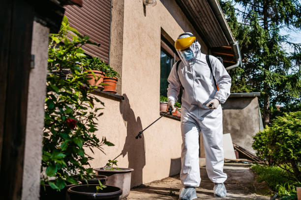 Best Pest Control Near Me  in Schaumburg, IL