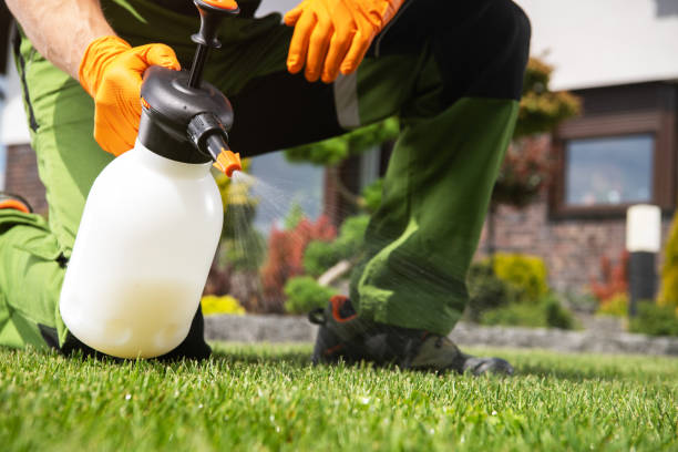 Best Best Pest Control Companies  in Schaumburg, IL