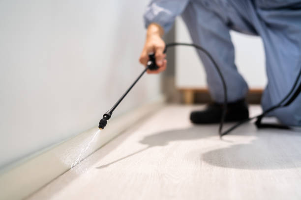 Wildlife Control Services in Schaumburg, IL