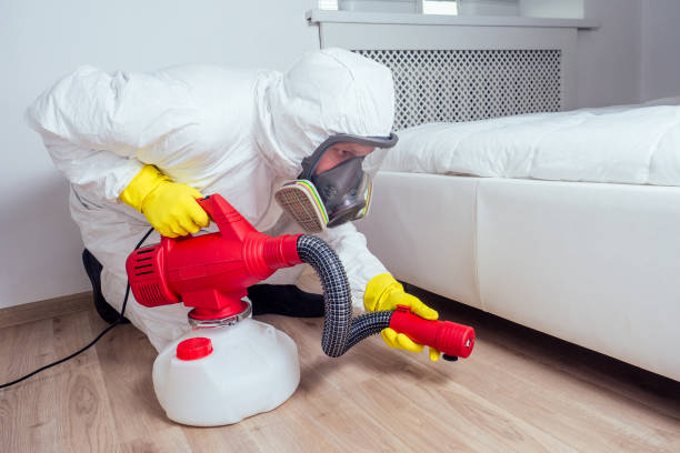 Best Affordable Pest Control Services  in Schaumburg, IL