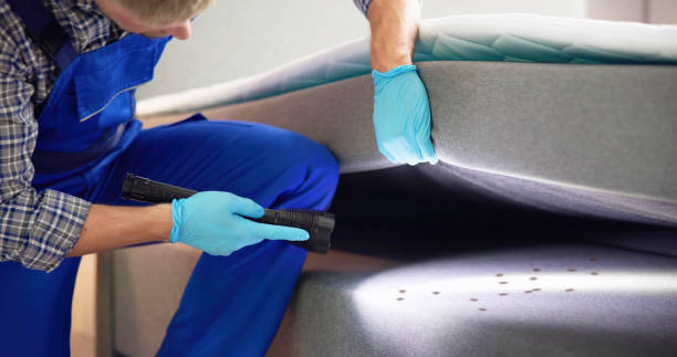 Best Wasp Removal Services  in Schaumburg, IL