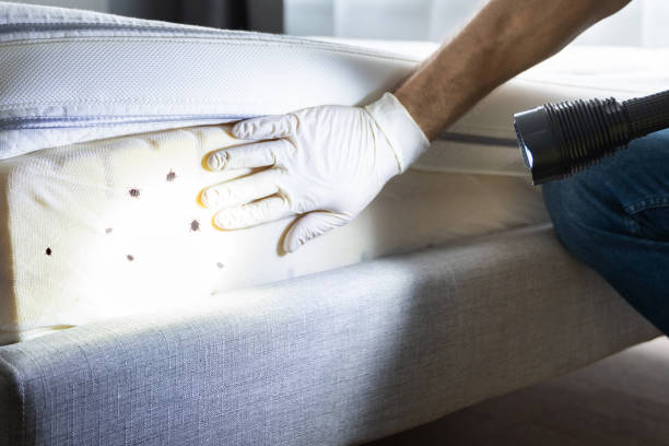 Best Best Pest Control Companies  in Schaumburg, IL