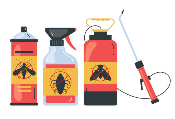 Wasp Removal Services in Schaumburg, IL