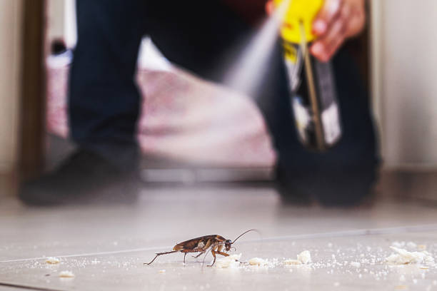 Best Pest Control for Businesses  in Schaumburg, IL