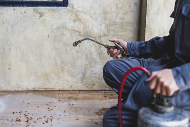 Best Pest Control for Homes  in Schaumburg, IL